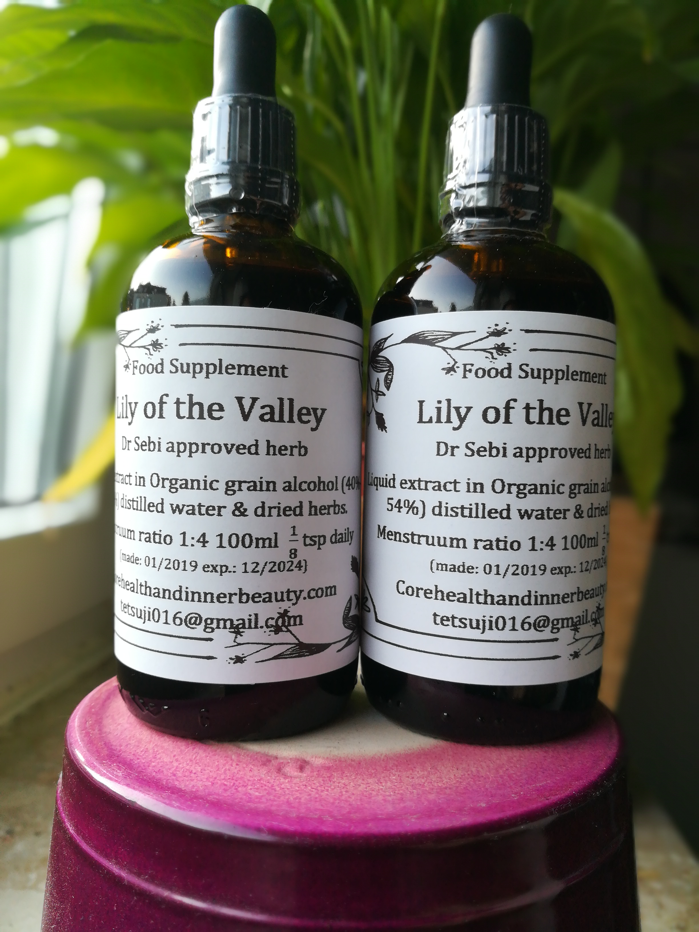 Lily of the Valley – Health Food Retail – Dietary Supplements and more